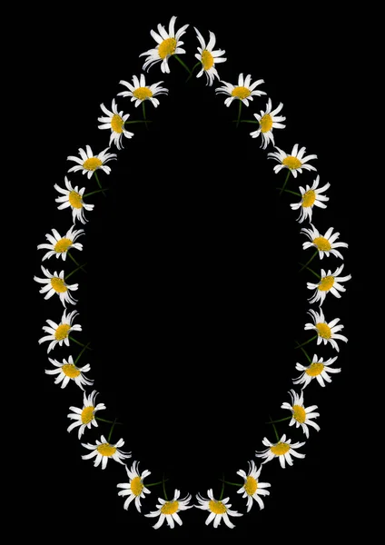 Рамка Квітів Ромашки Чорному Тлі Формат Вертикальний Квіти Рослини Обкладинка — стоковий вектор