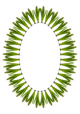 Bahar. Sümbül ampullerinden lanetlenmişler. Dikey beyaz bir A4 formatında çerçeve. İzole et. Mevsimler. Bitkiler.