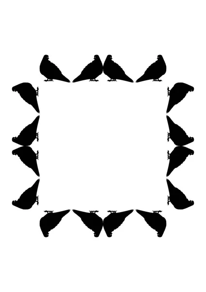 Frames Zijn Zwart Een Witte Achtergrond Silhouetten Van Vogels Duiven — Stockvector