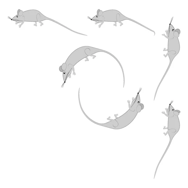 Ποντίκια Και Ποντίκια Σχεδιαστικά Στοιχεία Τετράγωνο Φόντο Τυποποιημένα Ζώα Παραμύθια — Διανυσματικό Αρχείο