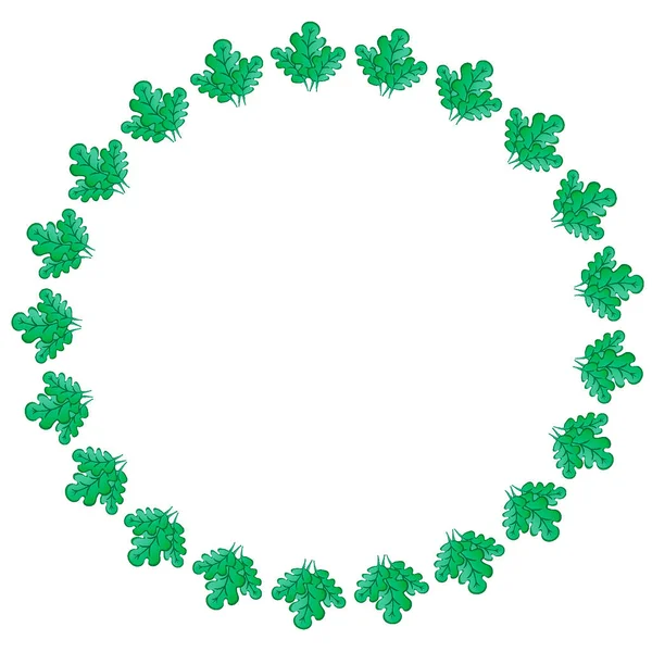 Marcos Sobre Fondo Cuadrado Hojas Roble Verde Estilizado Plantas Gráficos — Vector de stock