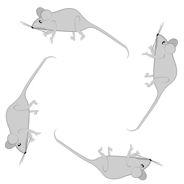 Ratten Und Mäuse Als Gestaltungselemente Auf Quadratischem Hintergrund Stilisierte Tiere — Stockvektor