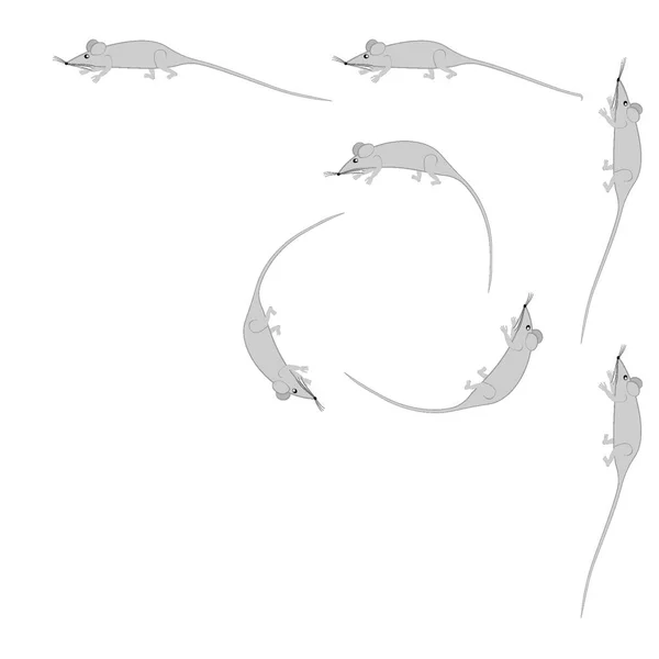 Ratten Und Mäuse Als Gestaltungselemente Auf Quadratischem Hintergrund Stilisierte Tiere — Stockvektor