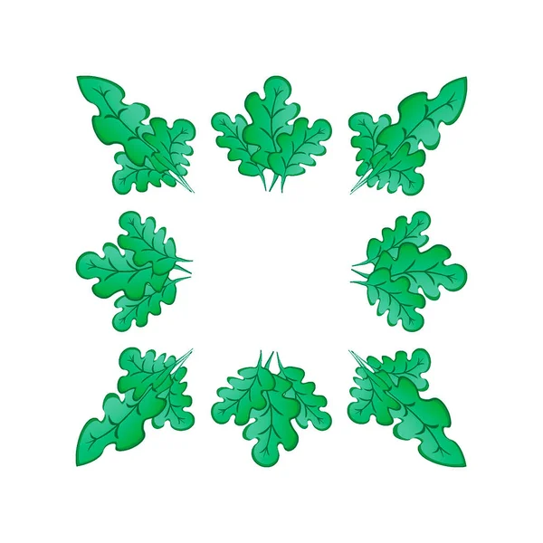 Marcos Sobre Fondo Cuadrado Hojas Roble Verde Estilizado Plantas Gráficos — Vector de stock