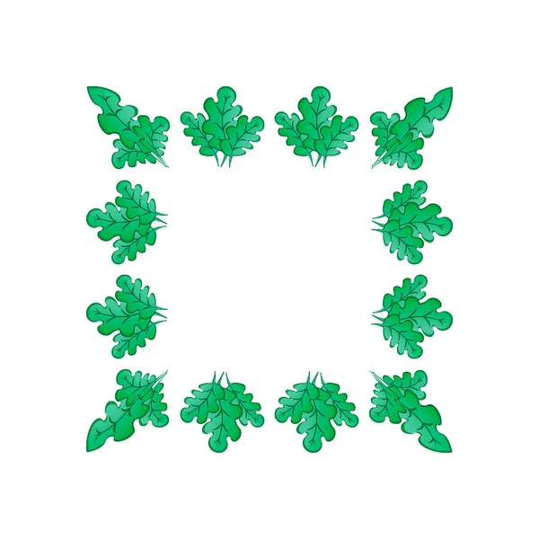 Kare Arkaplandaki Çerçeveler Stilize Edilmiş Yeşil Meşe Yaprakları Bitkiler Grafikler — Stok Vektör