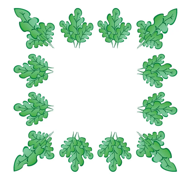 Marcos Sobre Fondo Cuadrado Hojas Roble Verde Estilizado Plantas Gráficos — Vector de stock