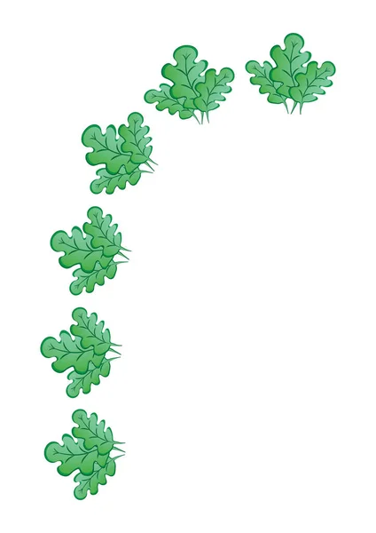 一帧一帧的绿橡木叶子在一张白色的A4格式的纸片上 图形关于植物的主题 设计笔记本电脑封套 移动应用程序 设计元素 — 图库矢量图片