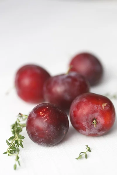 Kırmızı tatlı Erik ve beyaz zemin üzerine kekik