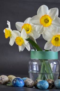 Nergis ve Paskalya bıldırcın yumurtası