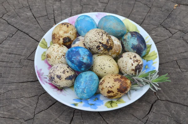 Великдень перепелині яйця — стокове фото