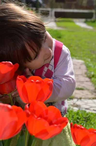 La bambina con i tulipani — Foto Stock