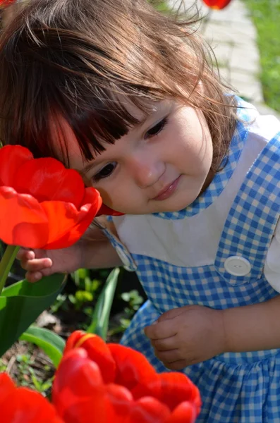 La niña con tulipanes — Foto de Stock