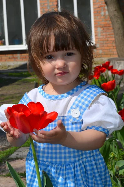 La niña con tulipanes — Foto de Stock