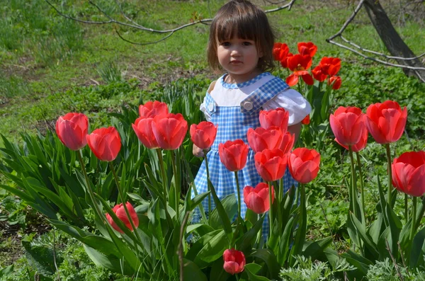 Het kleine meisje met tulpen — Stockfoto