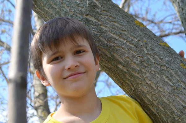 Αγόρι σε ένα δέντρο — Φωτογραφία Αρχείου