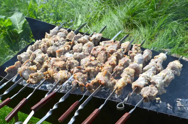 Kebab su spiedini alla griglia — Foto Stock