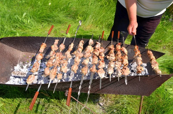 Kebabs em espetos na grelha — Fotografia de Stock