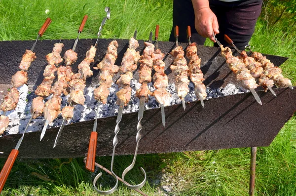 Kebab su spiedini alla griglia — Foto Stock