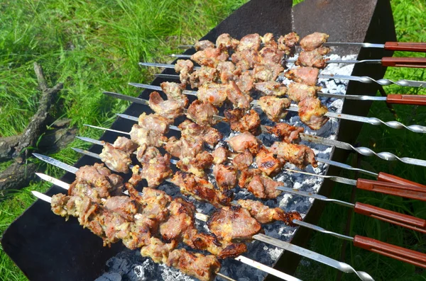 Kebab su spiedini alla griglia — Foto Stock