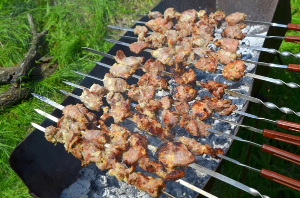 Kebab su spiedini alla griglia — Foto Stock