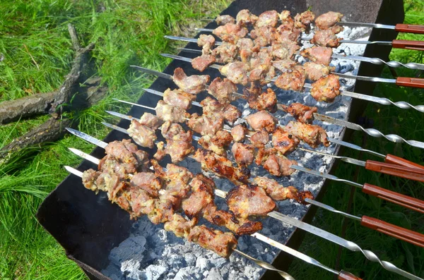 Kebab su spiedini alla griglia — Foto Stock