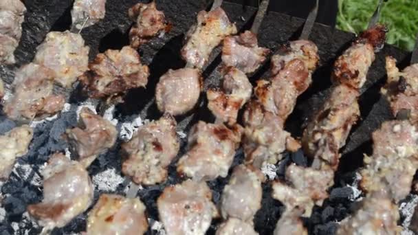 Kebabs en pinchos en la parrilla — Vídeos de Stock