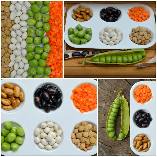 (ひよこ豆、グリーン ピース、赤レンズ豆、カナダ レンズ豆、インドのレンズ豆、黒レンズ豆、緑レンズ豆、ムング豆) さまざまなマメ科植物の鉢。コラージュ — ストック写真