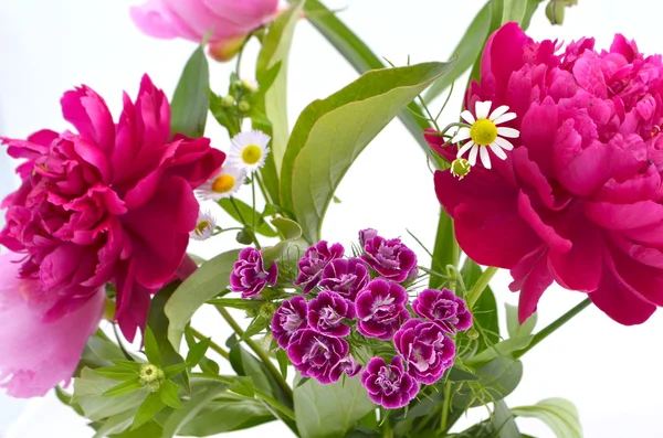 Arrière-plan avec des fleurs pivoines, oeillets, marguerite — Photo