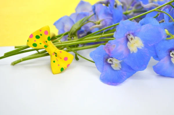 Bouquet with delphinium blue and yellow ribbon — Stock Photo, Image