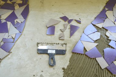 Mor sopası ile mozaik karolar