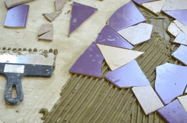 Mor sopası ile mozaik karolar