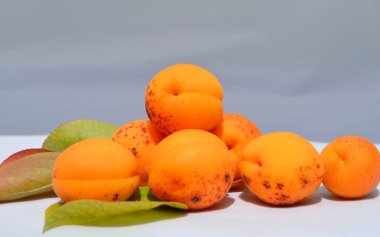 beyaz üzerine taze kayısı