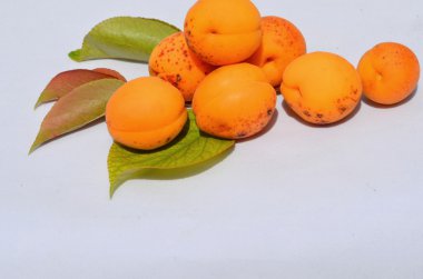 Taze kayısılar beyaz üzerine izole edilmiş.