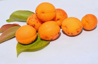 Taze kayısılar beyaz üzerine izole edilmiş.