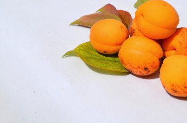 Taze kayısılar beyaz üzerine izole edilmiş.