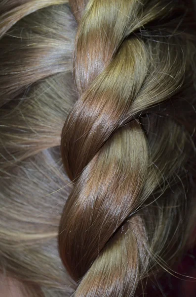 Cabelo trançado — Fotografia de Stock