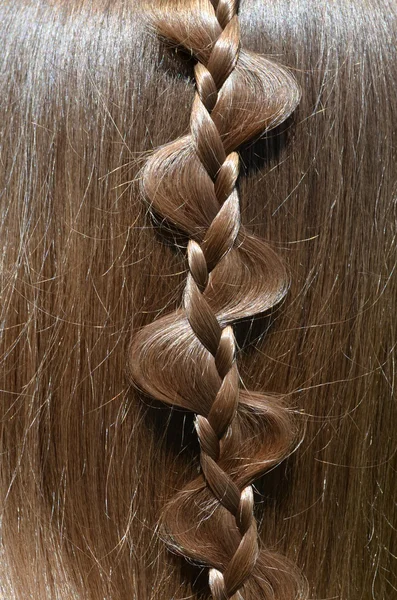 Braided hair — Stock Photo, Image