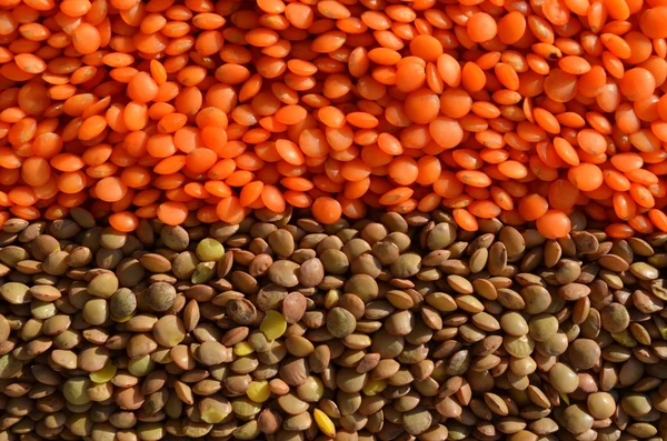 レンズ豆の茶色と赤 — ストック写真