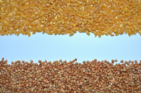 Tło z zbóż — Zdjęcie stockowe