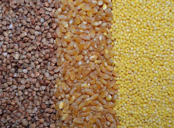 Tło z zbóż — Zdjęcie stockowe