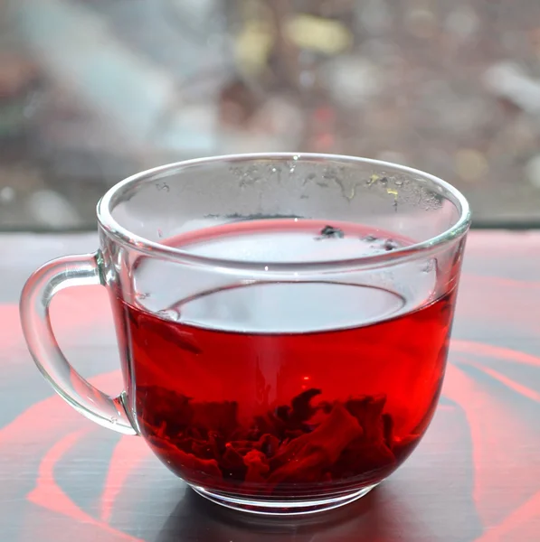 Té de hibisco rojo — Foto de Stock