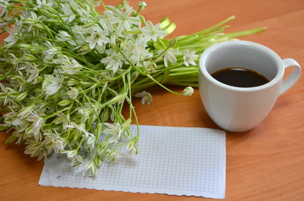 コーヒーの花 — ストック写真