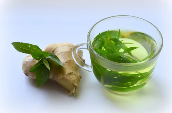 Té verde — Foto de Stock