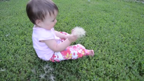 Маленька дівчинка і кульбаба — стокове відео