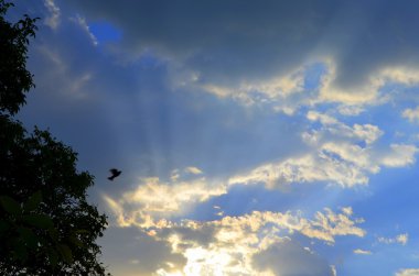 gökyüzü bulutları