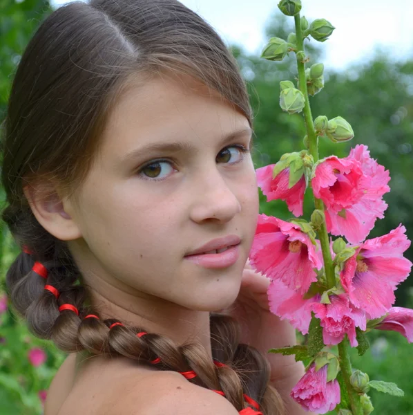 Girl with pigtails near Mallow — Φωτογραφία Αρχείου