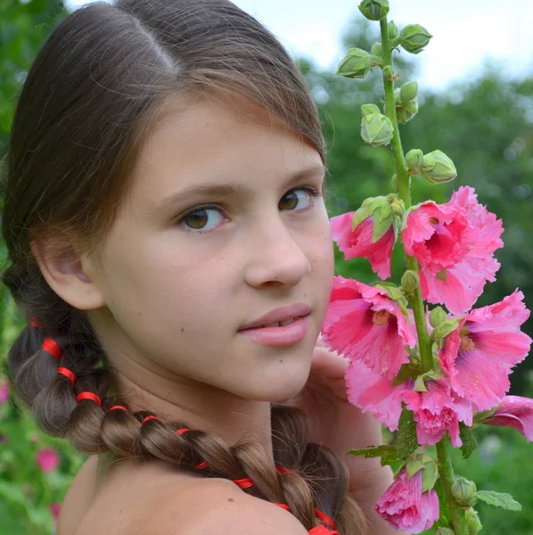 Ragazza con le trecce vicino Malva — Foto Stock