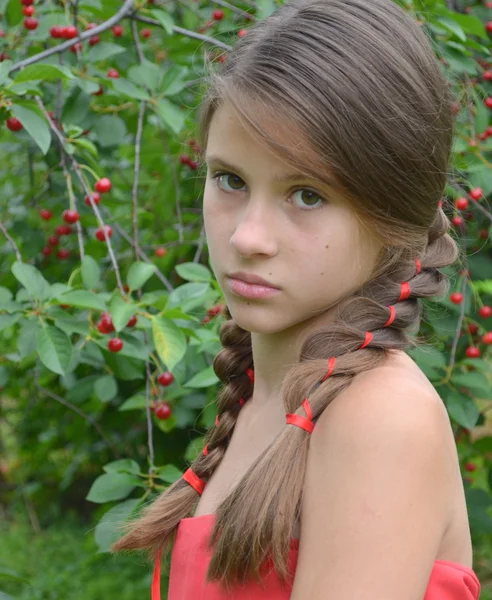 Girl with pigtails — Stock Photo, Image