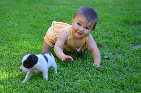 Bambina con cucciolo — Foto Stock