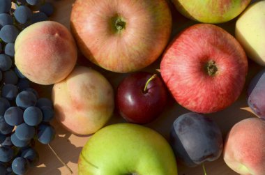 Meyve - üzüm, şeftali, elma ve Erik